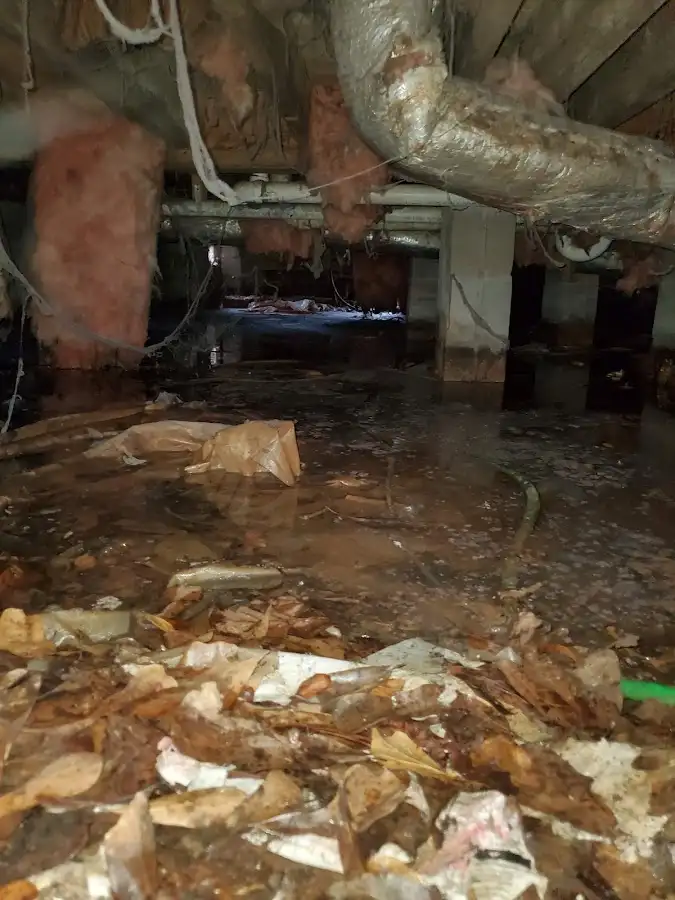 Crawl space flood assessment for Leak Detection & Repair in Glendale